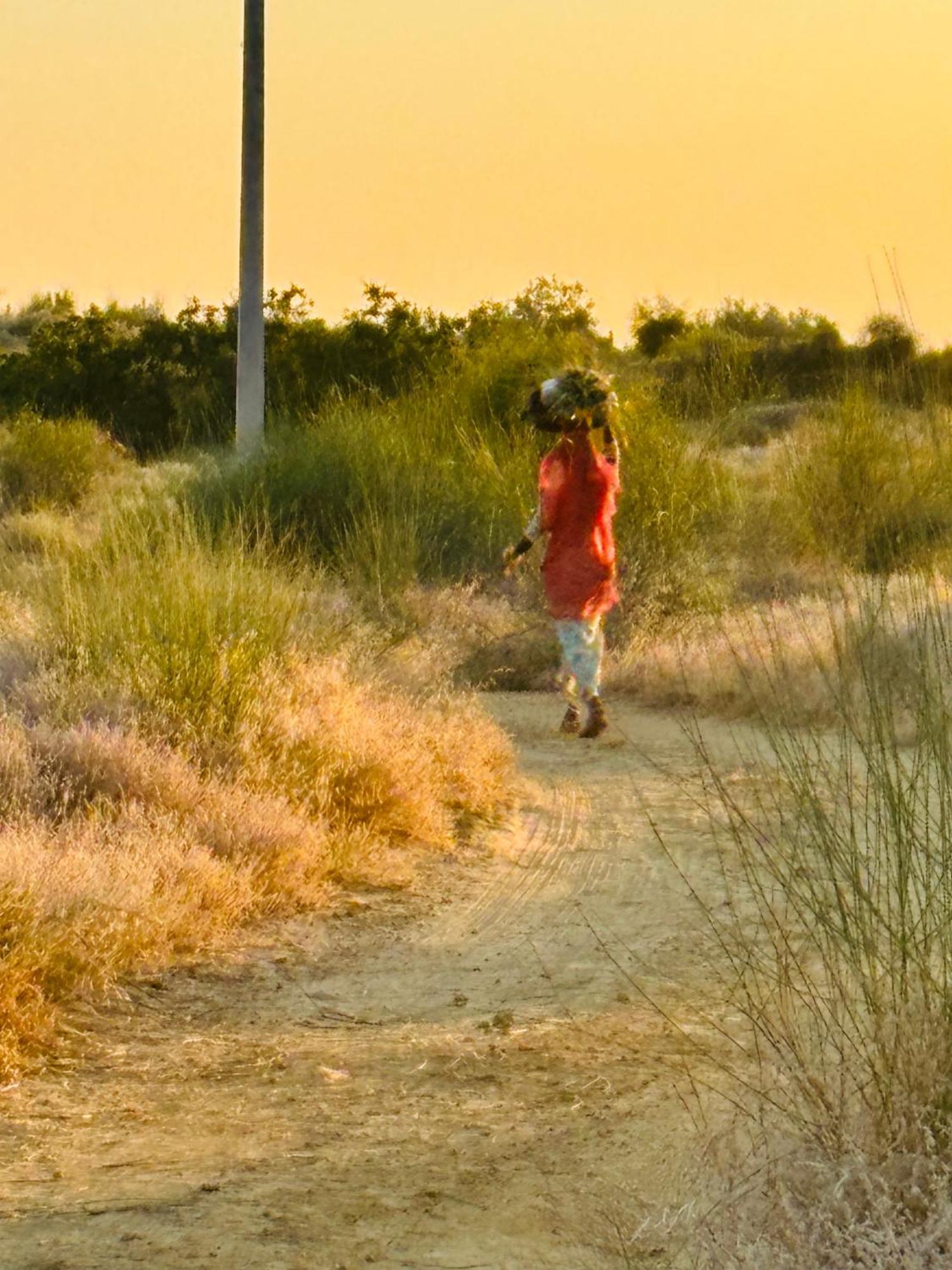 Sangram Desert Camp 斋沙默尔 外观 照片